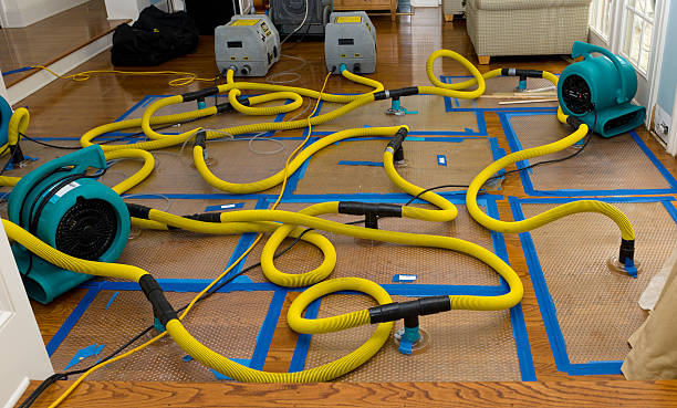 Professional Crawl Space Water Removal technician working in Crane Lake, MN